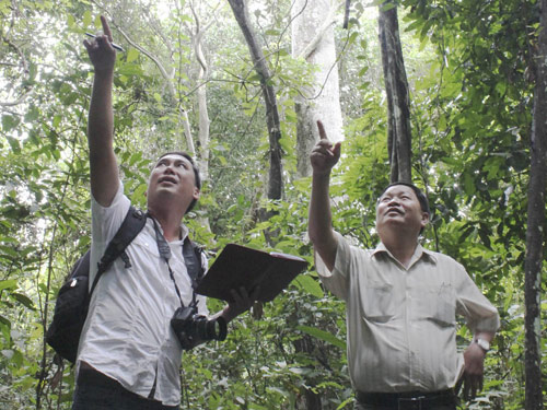 Phá[-]rừng[-]phòng[-]hộ[-]làm[-]nhà[-]máy[-]xi[-]măng